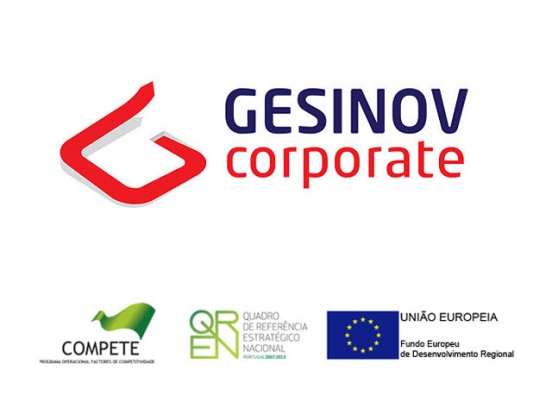 GesINOV Project 